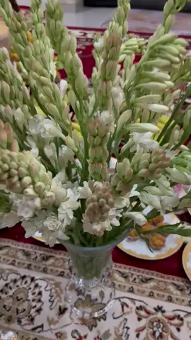 Alhamdulillah acara pengajian di rumah😇🤍🌹