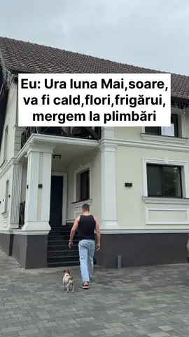 Aha , numa frigărui și plimbări 