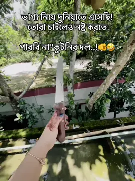 Allah na caile kutnami koira amar kicui korte parbana🫵#grow #newaccount #foryoupage #plzunfrezemyaccount #newtrend #tiktokbdofficial #support #viral #plz #repost #plzviral #plzzzz #Fy #unfrezzmyaccount #rich #statusvideo #foryou #tiktokbangladesh #viralvideo @TikTok Bangladesh #CapCut 