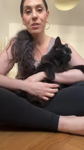 Let’s talk pet care in Europe vs. in US. There are definitely benefits here for her but medical care for me is a different story! #expat #americanineurope #austria #petcare #cats #vet #fyp 