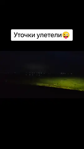 Поехали уточек покажу? 