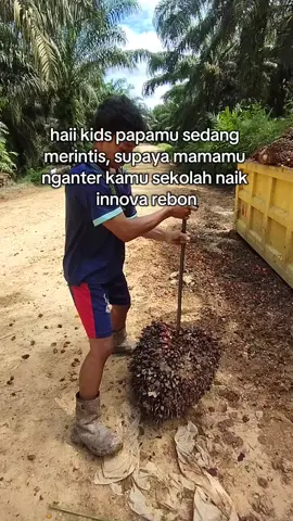 kira kira berapa kilo #kelapasawit #sawitkalimantan #sawittiktok🌴🌴🌴 #bibitunggul #perintis #kebunsawit #fyp #fyppppppppppppppppppppppp #masukberanda #fyppppppppppppppppppppppp #masukberanda #fyppppppppppppppppppppppp #xybca #xybca #xybca 