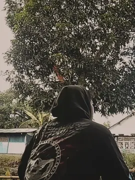 manusia berbayang kera tidak akan hilang dari bumi Nusantara