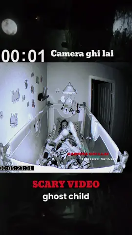 what is that #ghost #cctv #animal #pov #scary #horror 