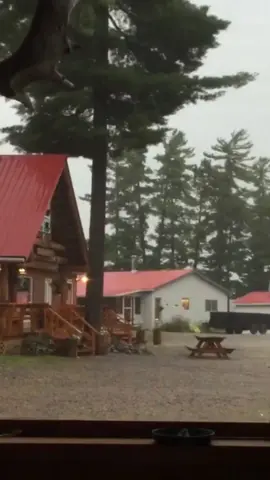 Lightning strikes tree #lightning #satisfyingvideo #fyp #oddlysatisfying #foryou #thunder 