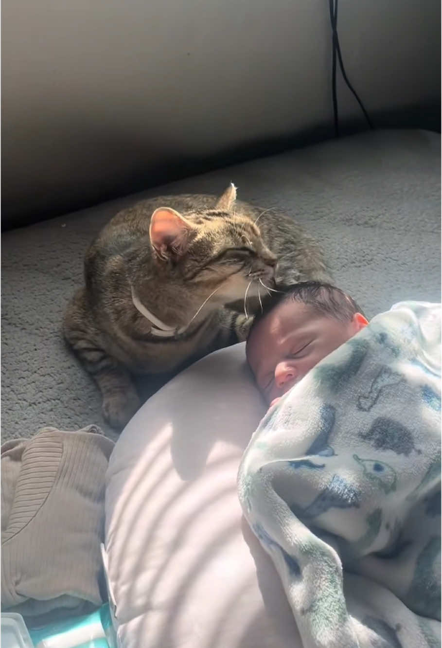 Does anyone know why cats lick babies’heads? ❤️❤️ #cat #baby #cute #Love #fyp 