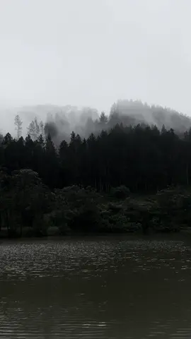 I want to less noice and more nature 🍃💆🥺 #traveling #traveltiktok #travelvideo #welcomehome #billieeilish #belwood #foru #for #foruyou #fyp #virl #worldwide #visitsrilanka #adamspeak #traveler #ohiya #travelerseye 