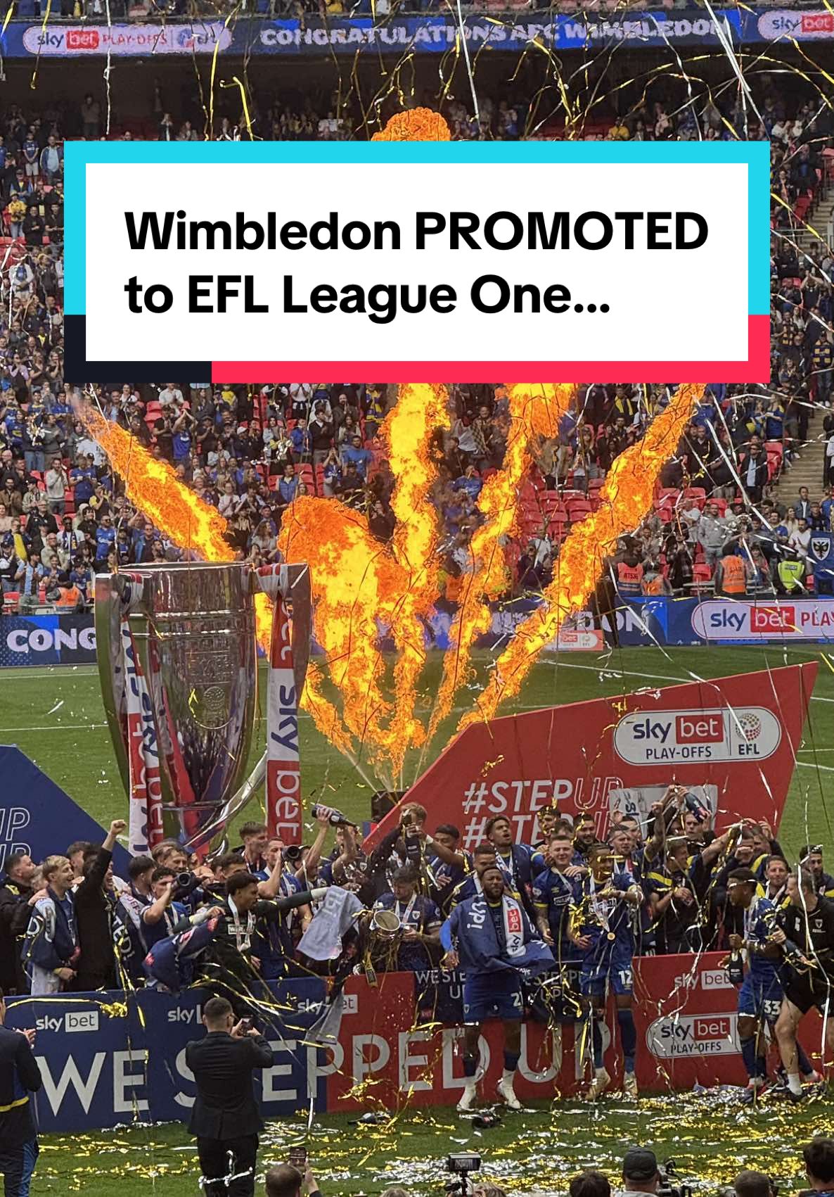 AFC Wimbledon are PROMOTED to EFL League One… #afcwimbledon #efl #eflchampionship #eflleagueone #eflleaguetwo #footballtiktok 