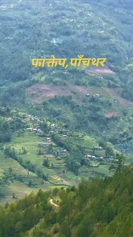 फाक्तेप,पाँचथर #fagunandagaupalika #trekandtravel04 #panchtharmuser #flypシ #foryoupageofficiall #goviral #trendingvideo #phaktep #viraltiktok #highlight #foryoupage #follow #traveltiktok 