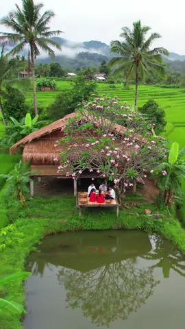 ការរស់នៅបែបសាមញ្ញ🏡🌾 #countryside #rurallife #nature 