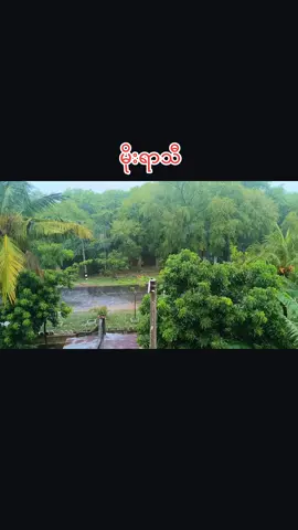 #ဝါဆို #မိုး #အလွမ်းမိုးရာသီ💖 #အလွမ်းပြေသီချင်း #ဝါဆိုမိုးနဲ့ပြန်ခဲ့ပါ #မွေးရပ်မြေသို့အလွမ်း #မြန်မာtiktok😁 #မြန်မာသံစဥ်များကိုချစ်မြတ်နိုးသူ #natmauk #fyp #viwes #foryou #aspnd #အရှင်ပီအန်ဒီ #နတ်မောက် #myanmartiktok🇲🇲🇲🇲 #tiktok #thanku 