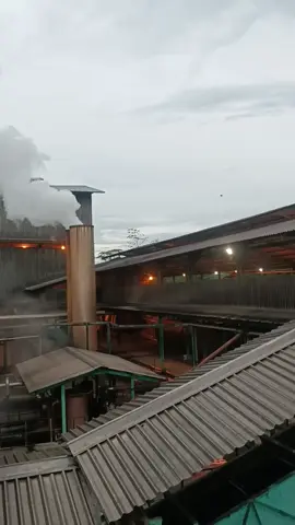 pabrik industri kelapa sawit 