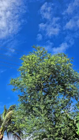 Device: Samsung S23 Regulation: 4k 60 FPS Mode: Pro Video