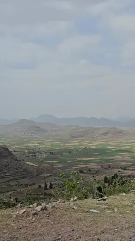 لاحياه الا حياة اصل العرب  #tiktok #saudiarabia #المملكه_العربيه_السعوديه #الرياض #trending #explore #سعد_باشا_القحطاني #سعد_باشا #tiktoknews #مشاهير_تيك_توك #
