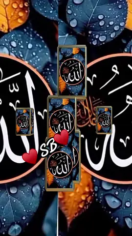 #allah❤️ #foyoupage #hazartmuhammads_s_a_w_w_❤️ #viral_video #muslimtiktok #fypシ 