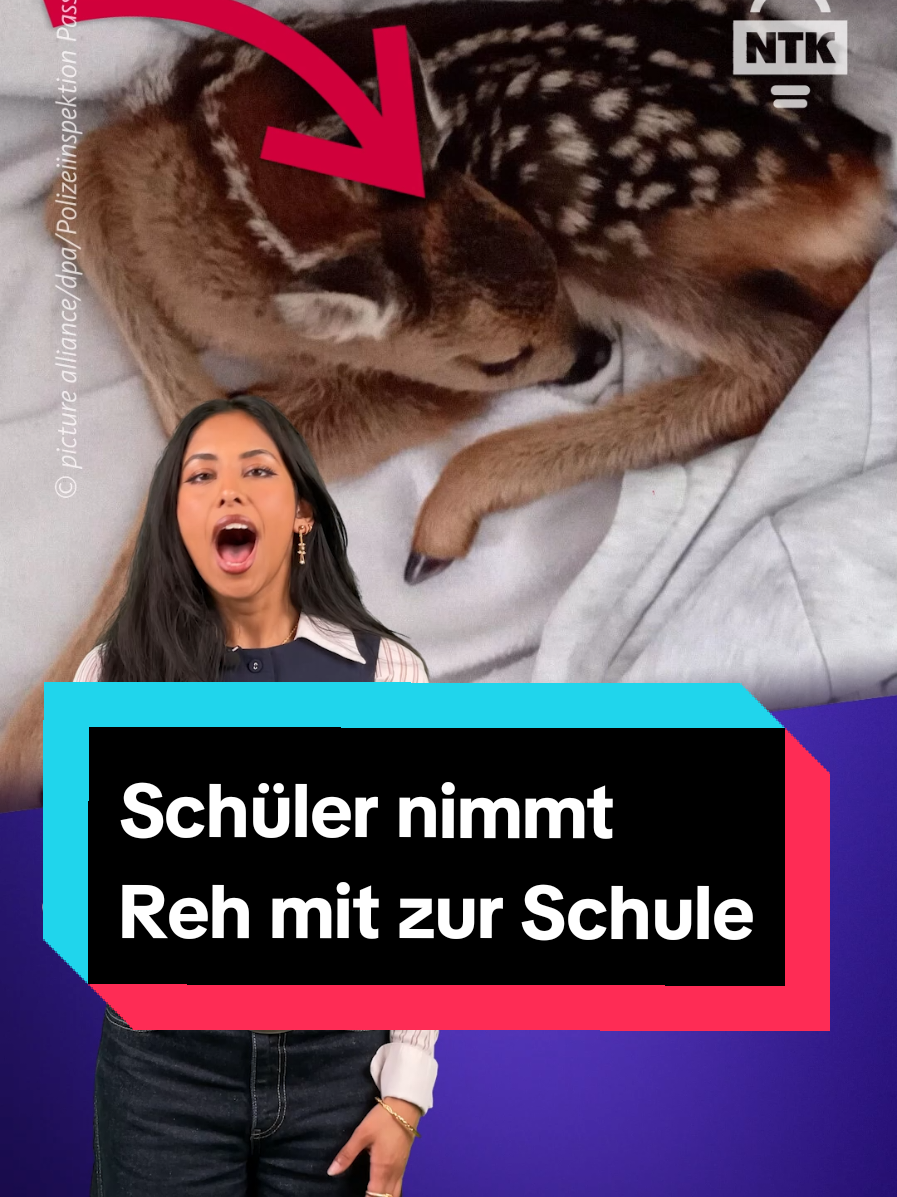 Gut gemeint ist halt nicht immer gut gemacht 🫣 #Rehkitz #Rehbaby #tierbaby #polizei #tierhilfe #schule #fürstenstein #passau 