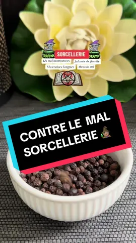 Contre la sorcellerie #sorcellerie #sorcière #witchcraft #drakafelix🍀 #france #espagne #italie #suisse #allemagne #protection #protect #jalousie #mauvaisoeil #poivrenoir🌱 