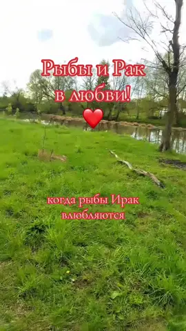 Рыбы и Рак в любви! #рыбы #рак #знакизодиака #СовместимостьЗнаков #ЛюбовьПоЗвездам #АстрологияTikTok #CapCut 