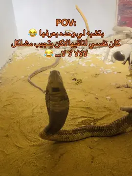 #سودانيز_تيك_توك_مشاهير_السودان🇸🇩 #sudanese_tiktok #foryoupage❤️❤️ #fypシ゚viral🖤tiktok #foryoufeed 