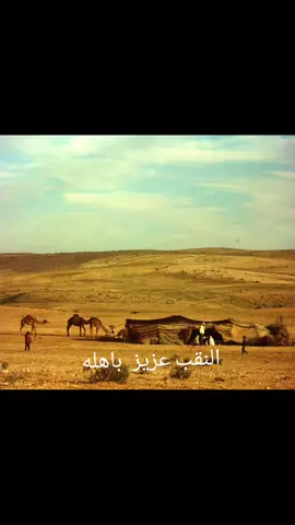 النقب تاريخ مشرف #رهط_تل_اسبع_اشقيب_عرعره_حوره_هداج__ #النقب_في_القلب #حوره_رهط_عرعره_شقيب_تل_السبع 