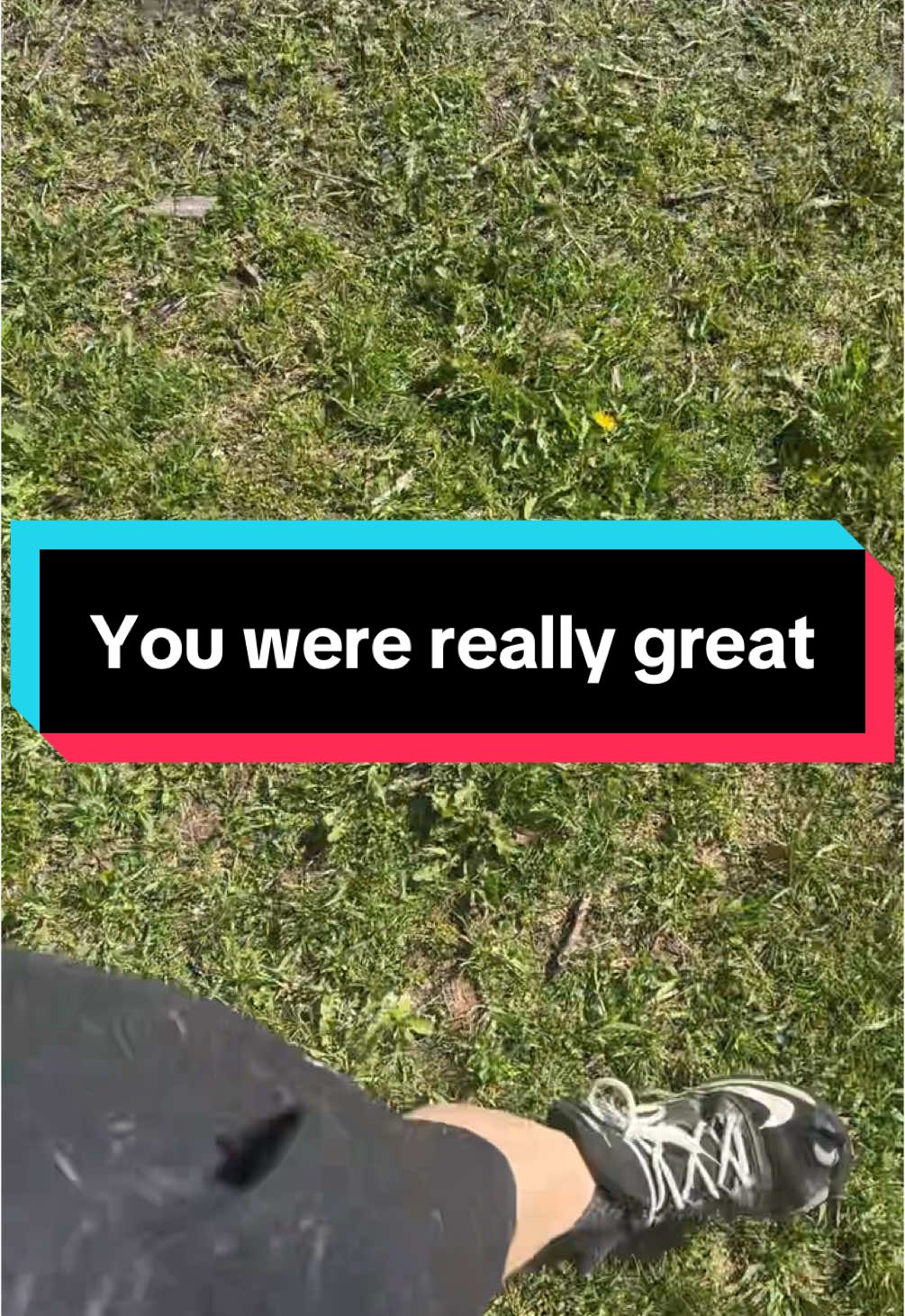 Can I just tellz you you was really great! #shrek #moviescene #dogsoftiktok #dogs #alwaysbyyourside #donkey #comedy #skits #movie 