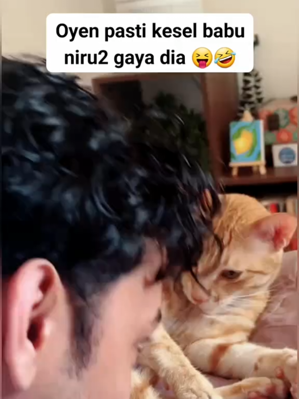 oyen pasti kesel, babu niru niru gaya dia #catlover 