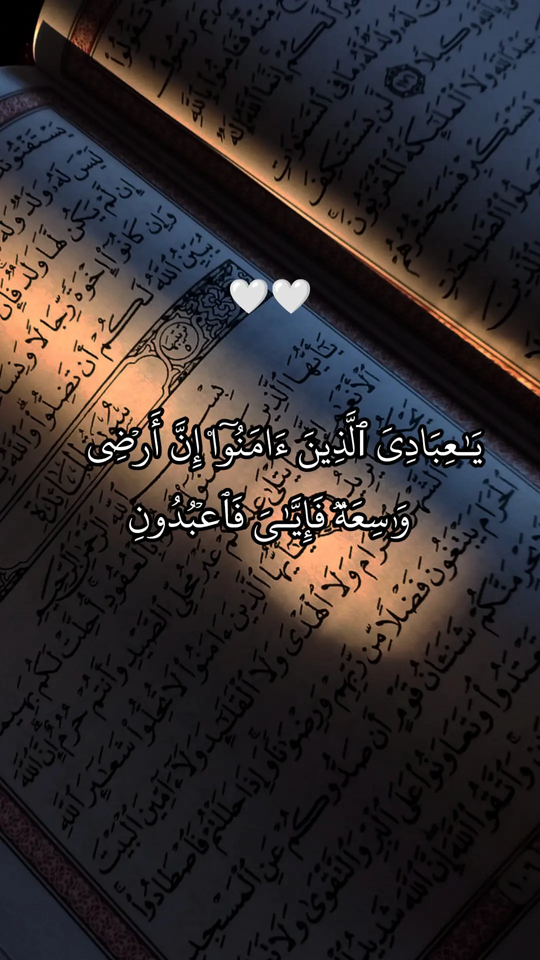 سورة العنكبوت 🤍 #اجر_لي_ولكم #قرآن_کریم#صدقه_جاريه #عبدالرحمن_مسعد 