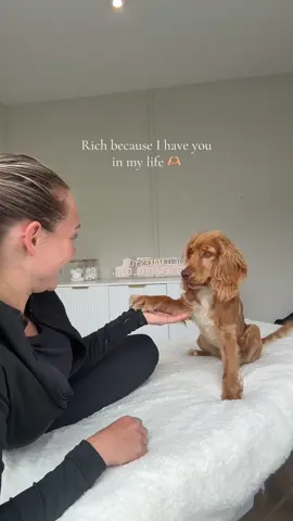My absolute world and best friend 🫶🏼 #fyp #foryoupagе #viral #foryoupag #trendingvideo  #puppylove #dogs #dogsoftiktok #puppydog 