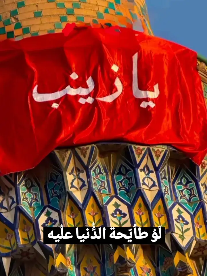 لو طايحة الدنيا عليه .#سيد_فاقد_الموسوي  #السيده_زينب_عليها_السلام #اللهم_عجل_لوليك_الفرج #للهم_صل_وسلم_على_نبينا_محمد💙 #كربلاء_مدينة_العشق_والعاشقين #لبيك_يازينب 