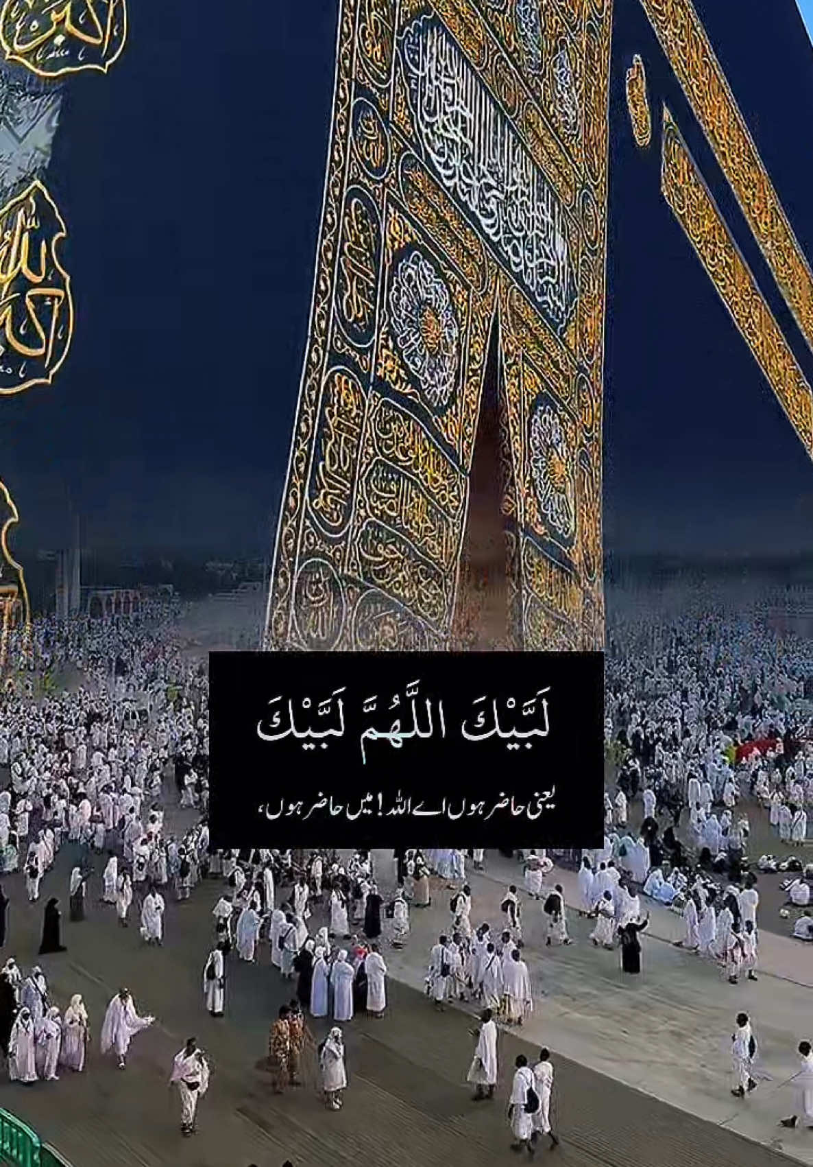 #CapCut #لبیک_اللھم_لبیک_لبیک_لاشریك_لك_لبيک #haj #Allah #muslim #saudiarabia🇸🇦 #makka #islamic_video #madina #umra #goviral #foryoupage❤️❤️ #fyp #vairalvideo #🕋🕋🤲🤲🕌🕌🌴🌴 