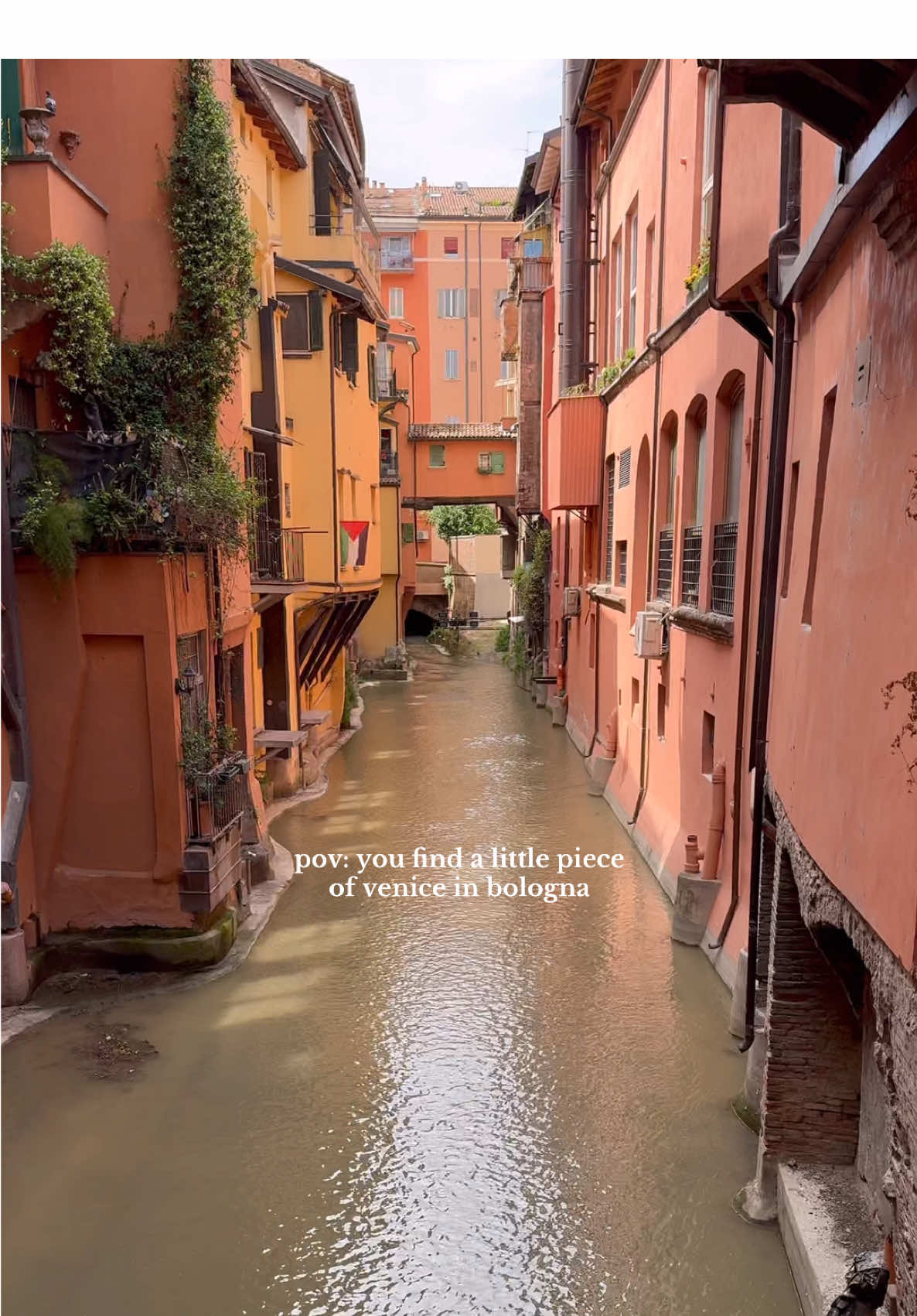 This little hidden canal almost made you forget you were in the middle of the city 🖼️ #bologna #italy #eurosummer #traveltok #italytravel 