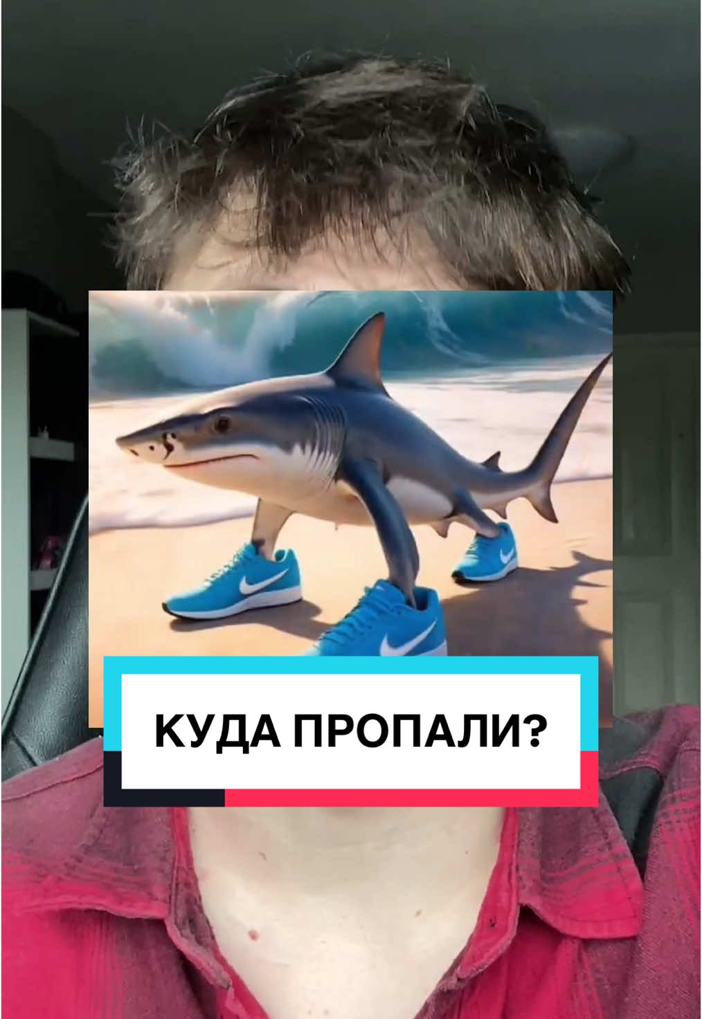 Куда пропали ИТАЛЬЯНСКИЕ ЖИВОТНЫЕ? #мем #бабкашоу #gannota #italianbrainrot #брейнрот #итальянскиеживотные 