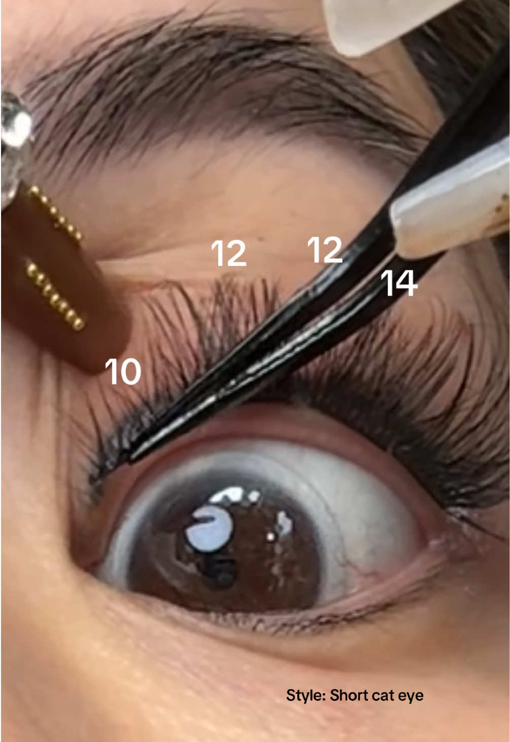Lash tutorial and my lash map, no glue needed! Style: short cat eye. #selfadhesivelashes #lashtok #diylashes #lashclusters #lashtutorial #cofier #lashkit #lashmap #eyelashestutorial 