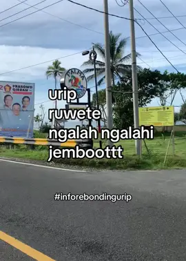 Infoo