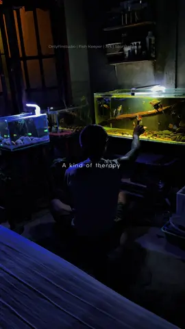 Capek seharian ilang liat ikan ikan gini :) #fyp #aquariumhobby #ikanairtawar #ikan 