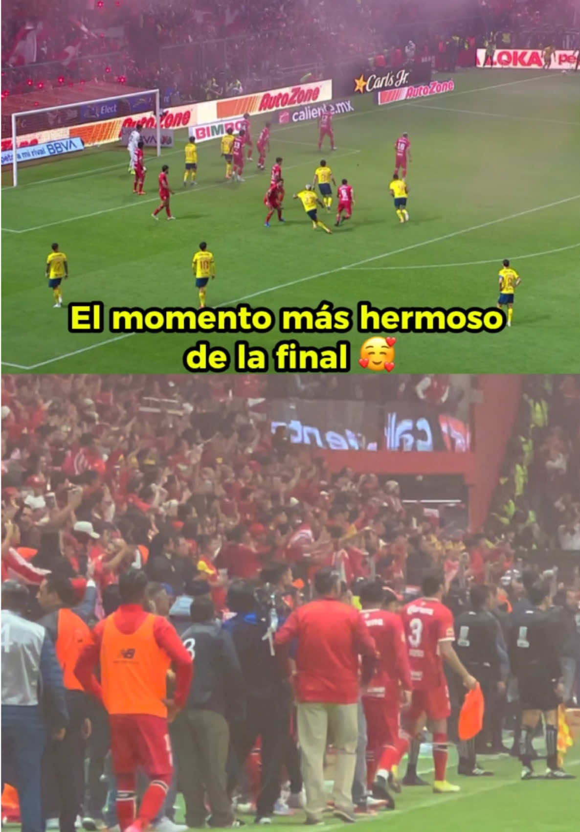 El momento en el que Toluca se da cuenta que alcanzó la gloria ❤️
