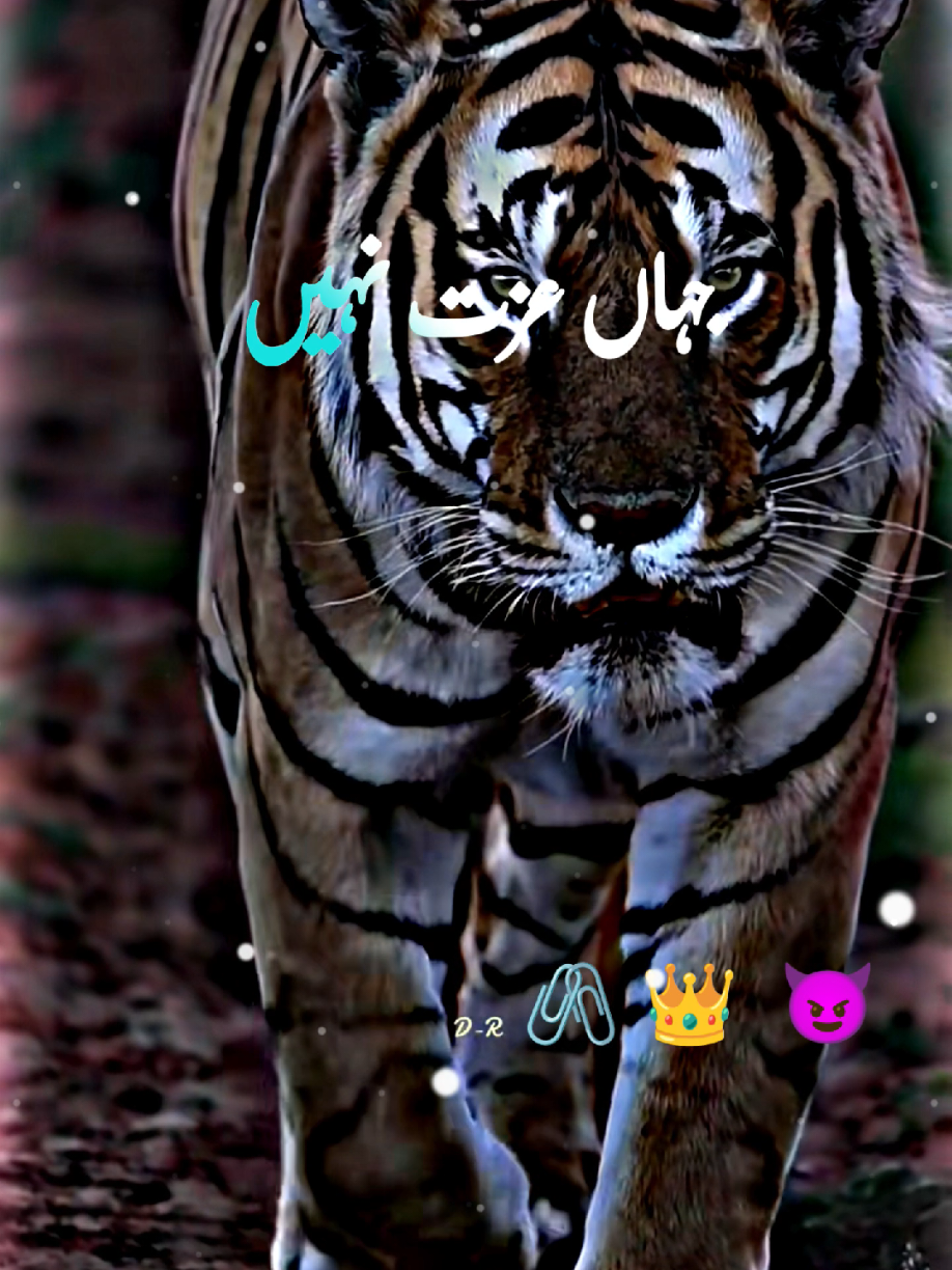 اکیلے ضرور ہیں پر کوئی غم نہیں🔥👿😡🙋‍♂️foryou# #trending #foryoupage #hassanbabriofficial #foryoupage #trendingtiktok #sajal_TikTok_id #sajal_offical #trendingvideo #unfreezmyaccount @sajal_offical #sajal_Malik_officia #whatsappstatus #sajal_offical #sajalmalik #sajalmalikofficial #sajalmalik #status #statusvideo #whatsappstatus #funny_story #1millionaudition #trendingvideo #trendingtiktok #trending #foryou #foryou #foryoupage 