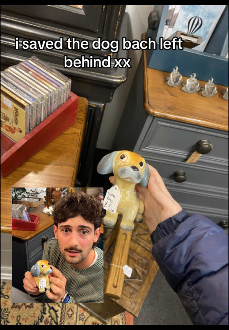 probably gonna take this down but had to share LMFAO #italianbach #fyp #relatable #viral #blur #yeovil #charityshop #british @ItalianBach 