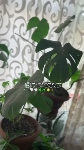 لمة العيلة فرحة للقلب💚🥺✨#اهلي #سوريا🇸🇾 #تركيا  #فراق 