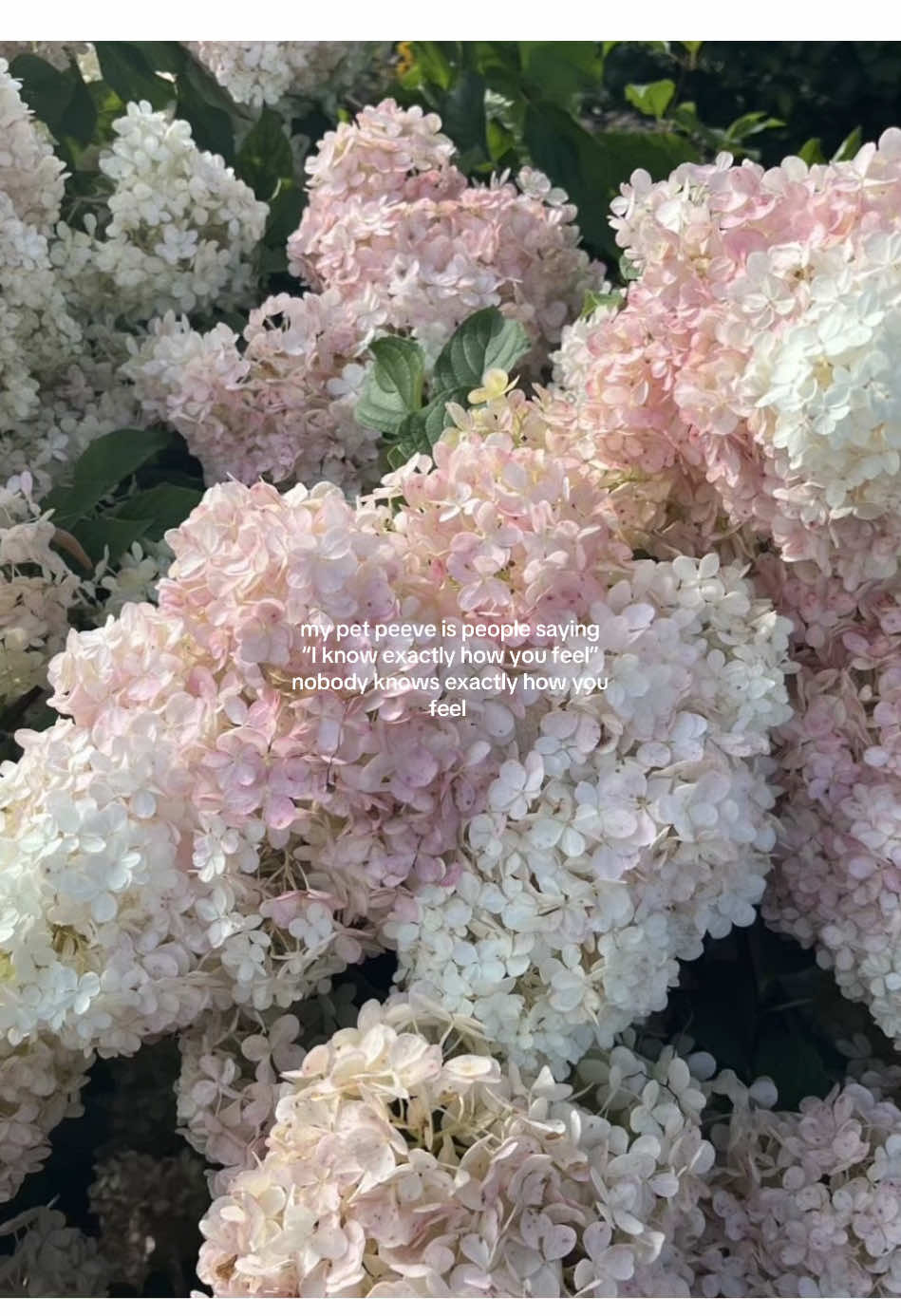 ☕️🧸👑 || #trendingsound #pinterest #relatable #motivation #viralvideos #moodboard #viralvideos #pinterestaesthetic #natalieportman 