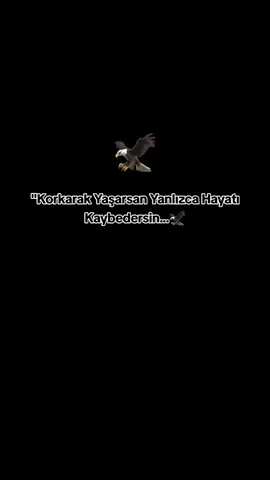 🦅⚜️ #davutyıldız #storylikvideolar📌 #trending #tiktokindia #fyp 