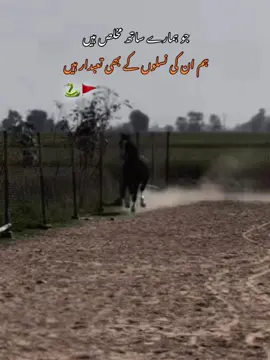 HAN GE لالہ❤️🚩#CapCut #کمبوہ_محکمہ #foryoupage @چوہدری احمد کمبوہ🔥 ##foryoupage #unfreezemyacount #undreviw_mat_kro🤗please #unfreezemyacount 