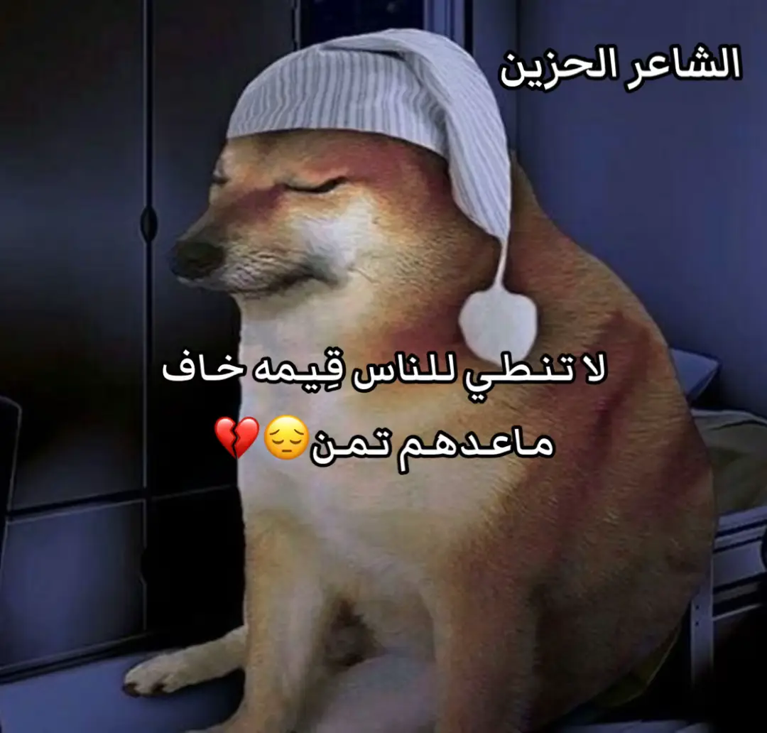 #شعب_الصيني_ماله_حل😂😂 #اشعار_حزينه🥺💔 