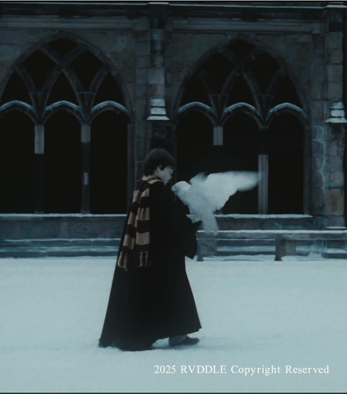 #HP : golden brown. || another aesthetic edit   —   scp: lupinscps  cc:  hrcrxes  ac/Ib: kirschefawn    — #harrypotteredit #gryffindor  #harrypottertiktok  #harrypotter #hpedit #hptiktok #explore #omgpage #fyp #harrypottertok #goldentrio #hermionegranger #ronweasley #wizardingworld #harryjamespotter #poaedit #halfbloodprince #goldenbrown #thestranglers #aesthetic  —   harry potter edit after effect Daniel Radcliffe aesthetic 