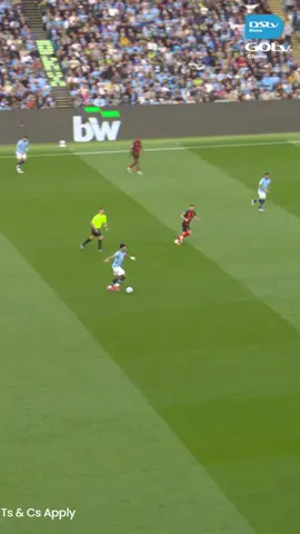 Best goals of the 2024/25 Premier League season #PremierLeague #DStvGhana