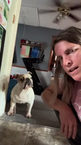 #lunaroseland #englishbulldog #spend a day with Luna and I #Love #princess 