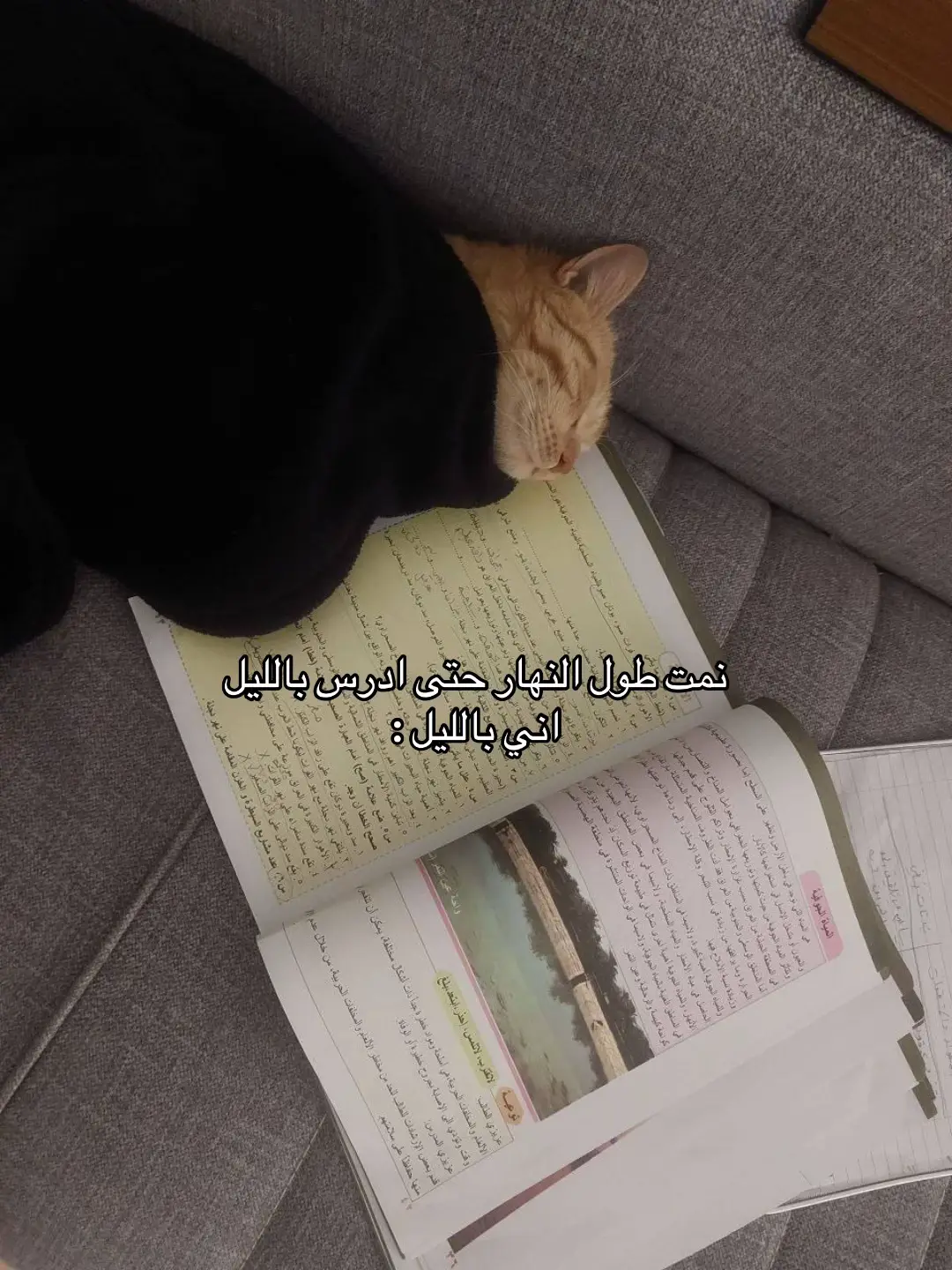#fypage #fyp #الشعب_الصيني_ماله_حل😂😂 #دراسة #طلاب_السادس 
