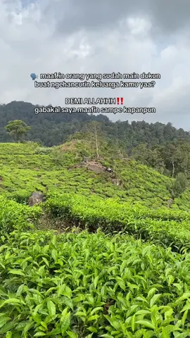 tuhan emg pemaaf tapi sorry gue bukan tuhan