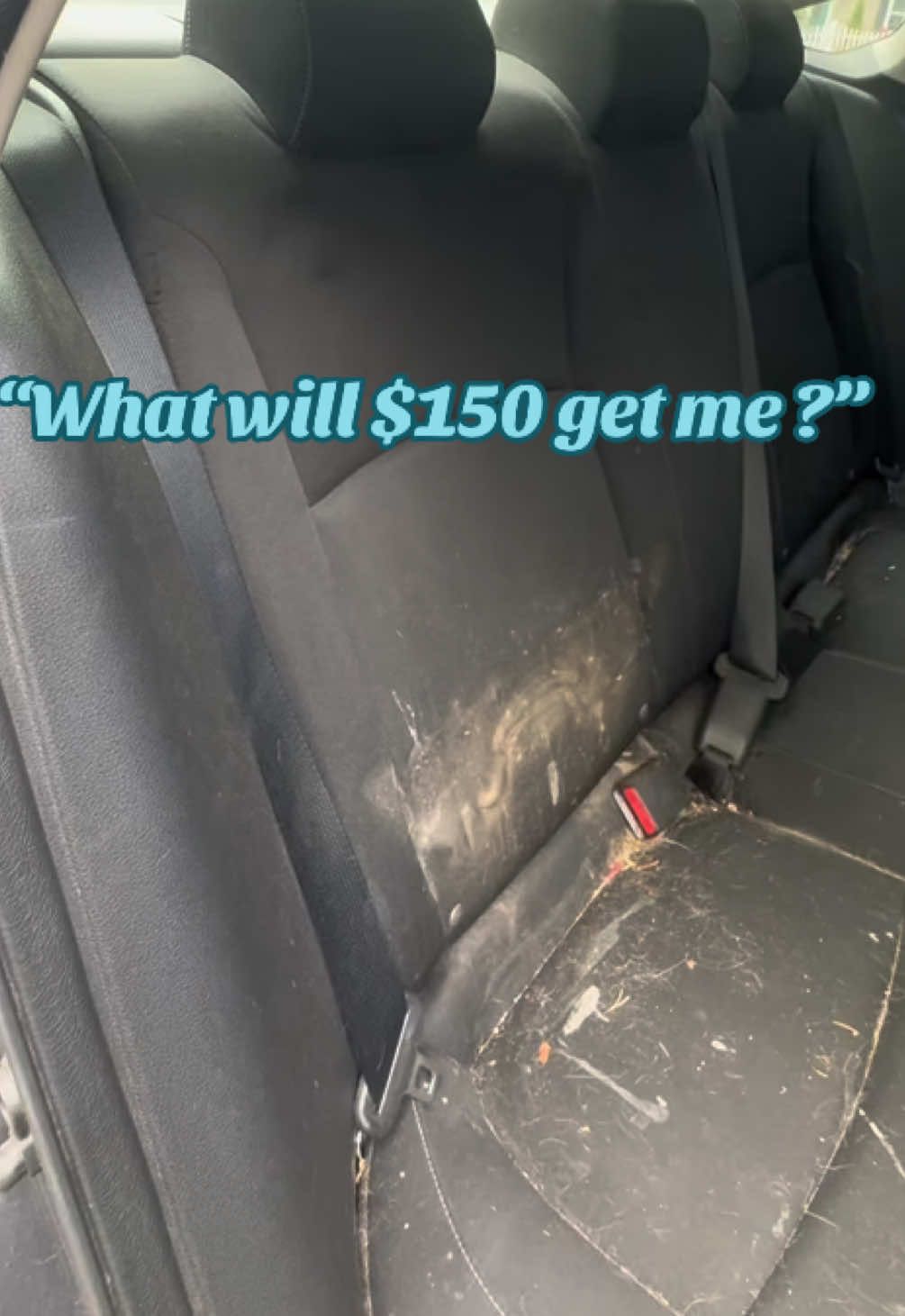 We don’t judge. We detail 😌  #fyp #foryoupage #cardetailing #mobilecarwash #detailing #professionaldetailing #cars #cleancar #carcare #carsoftiktok #carcleaning #Love 