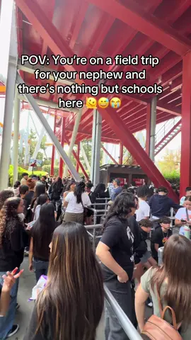 Send help lol 